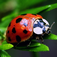 640x960 Wallpapers for iPhone 4 FREE Vol.2