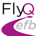 AOPA FlyQ EFB